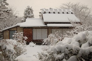 あけましておめでとうございます。