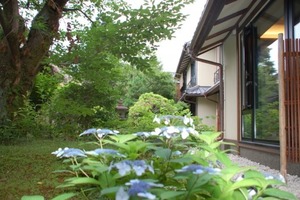 紫陽花の咲きたるに。