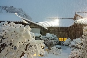 正月雪