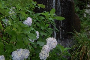 梅雨入り