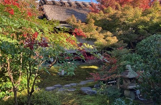 紅葉し始めました。