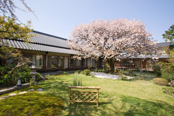 京の花ごよみ